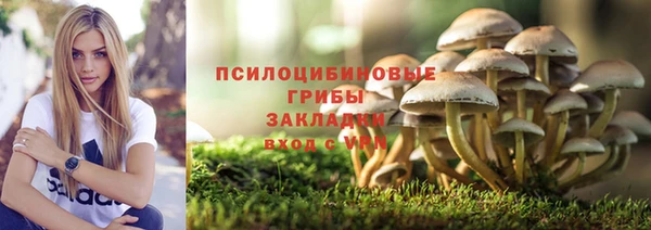 не бодяженный Алексин