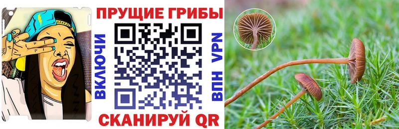 купить наркотик  Канаш  Галлюциногенные грибы мухоморы 