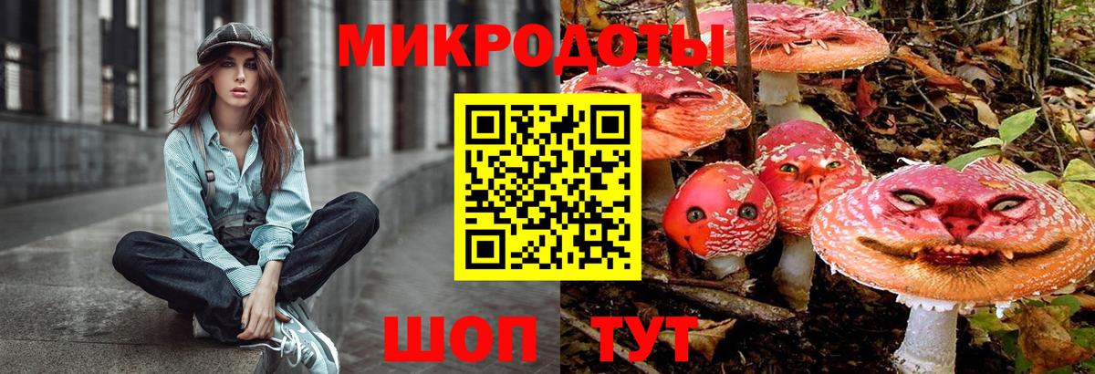 Канаш  Галлюциногенные грибы Magic Shrooms  Вход с VPN 