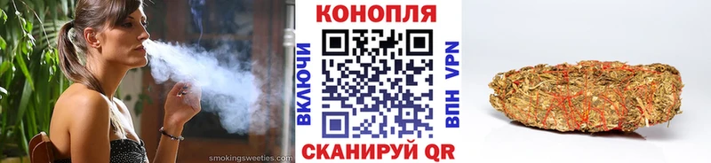 Бошки Шишки гибрид  где купить наркоту  Канаш 